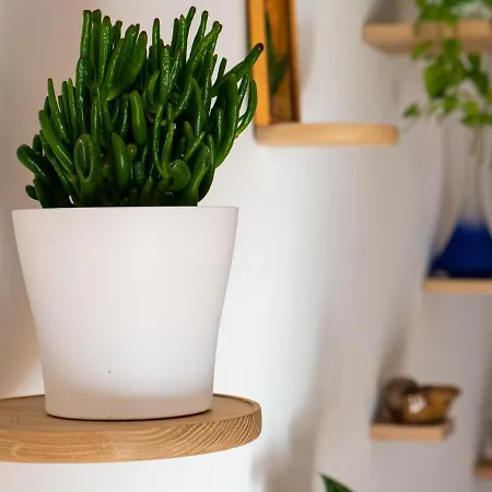 D&n Διαμέρισμα *